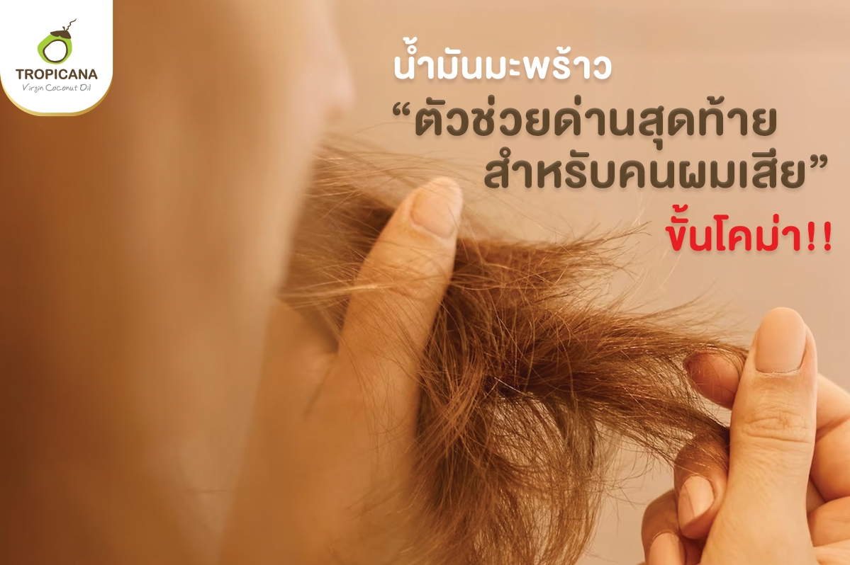 “น้ำมันมะพร้าว” ตัวช่วยสุดท้ายสำหรับคนผมเสียขั้นโคม่า