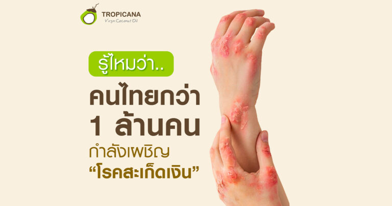 ปก-01