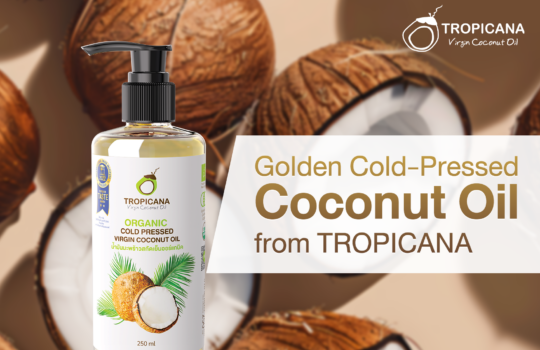 004-content-eng-112025