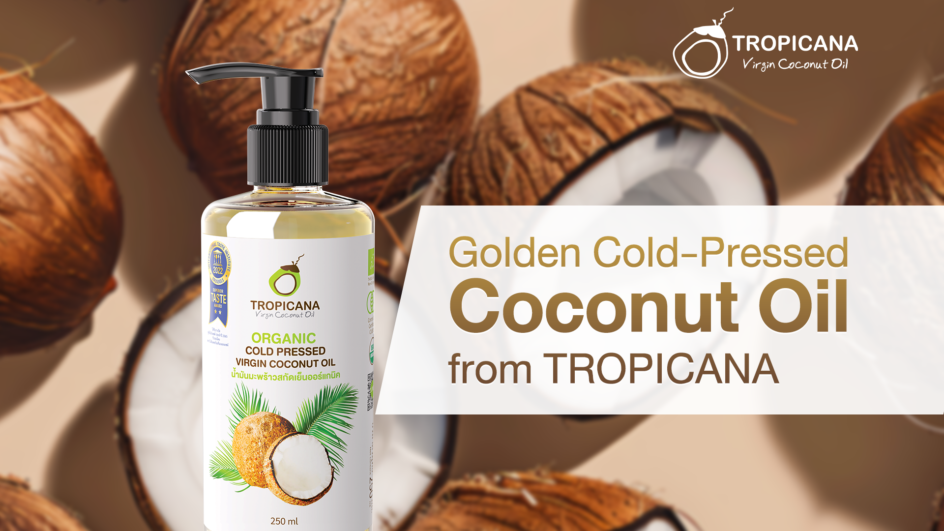 004-content-eng-112025